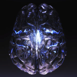 It's not you it's your brain