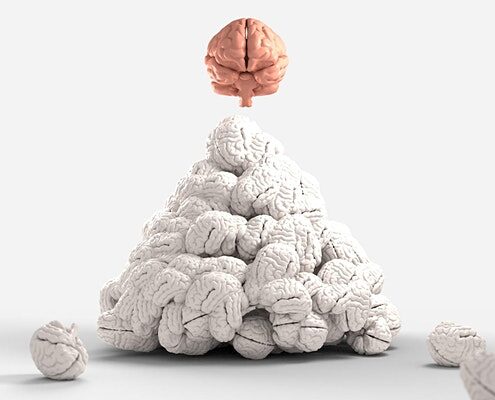 Mindsets Matter Brain